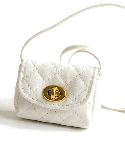 Vanity Bag